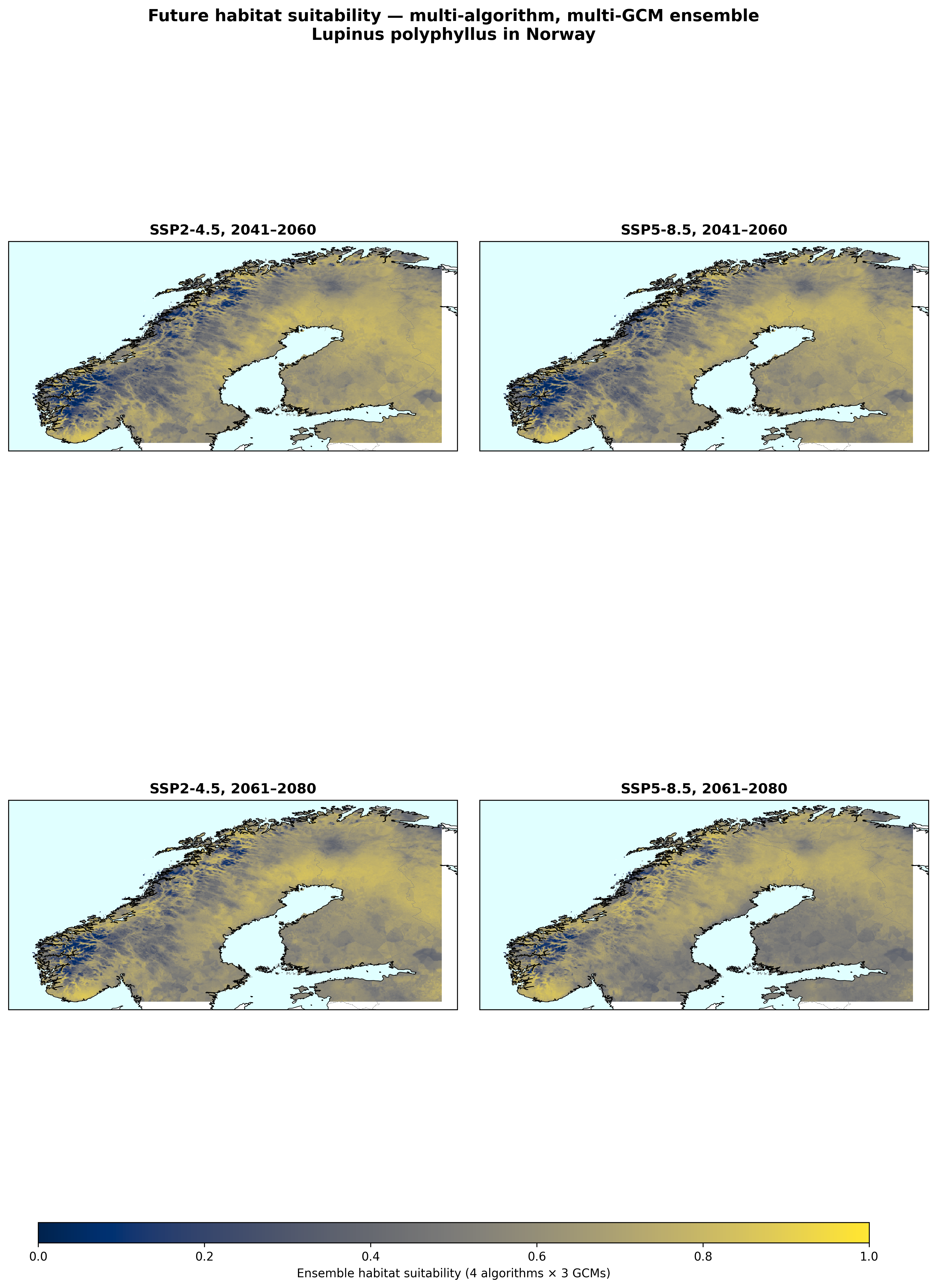 Figure 6. Ensemble habitat suitability under four CMIP6 scenarios (multi-GCM, multi-algorithm mean). Warm colours = high suitability.