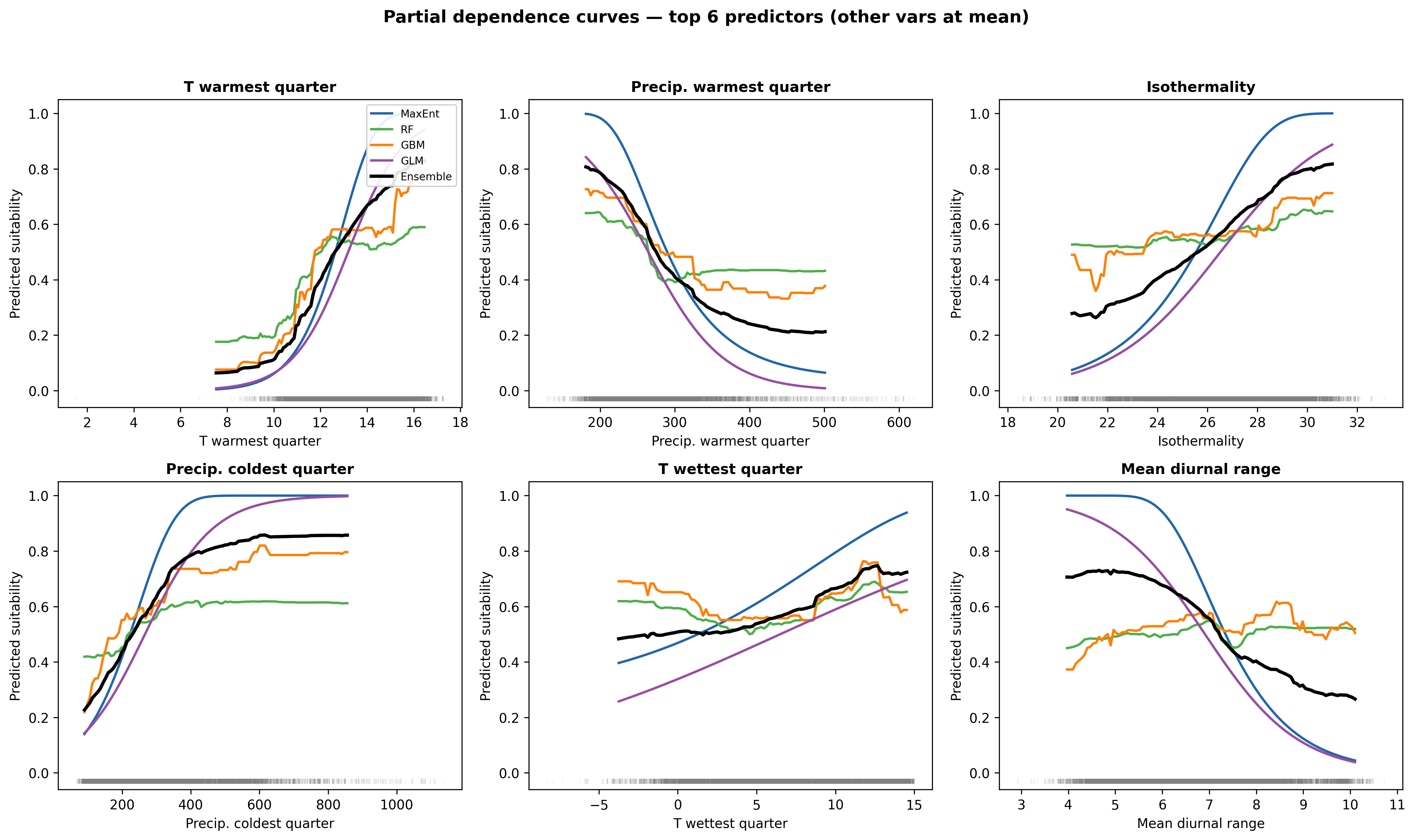 Figure 4. Partial dependence response curves for the six most important predictors. Coloured lines: individual algorithms. Black line: ensemble. Each curve shows how predicted suitability varies as one predictor sweeps its 1–99% range while others are held at their mean. Grey ticks at the base mark the distribution of occurrence records.
