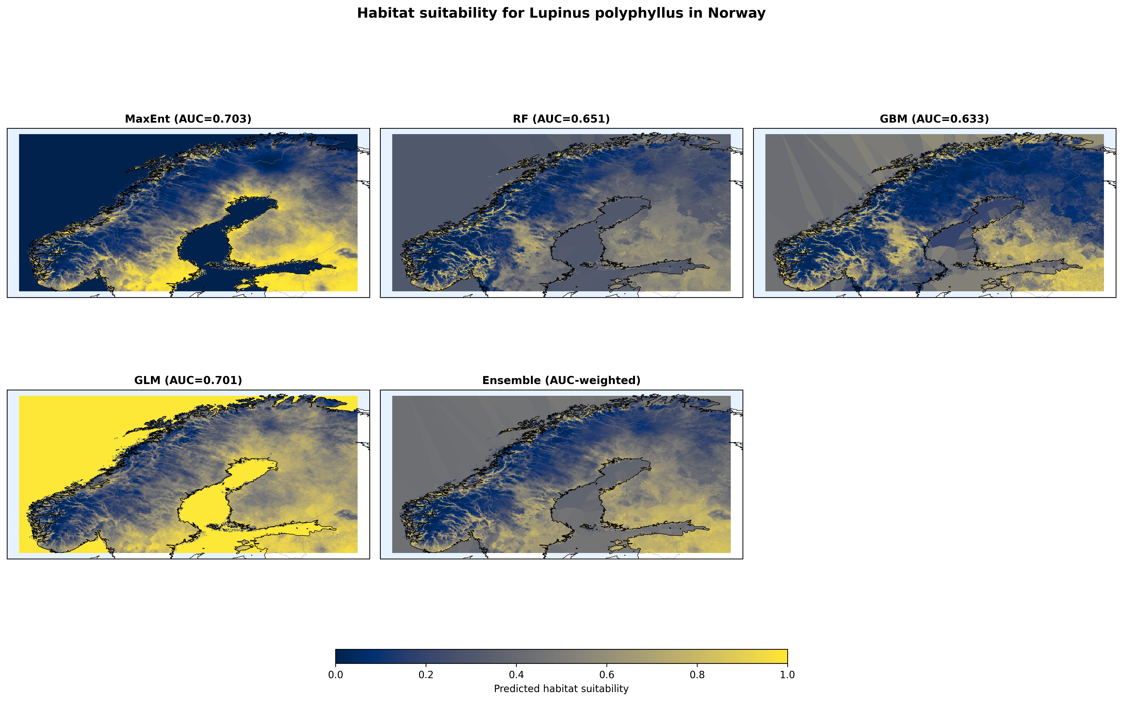 Figure 1. Predicted habitat suitability for Lupinus polyphyllus under current climate, shown separately for each of the four algorithms (MaxEnt, Random Forest, Gradient Boosting, Logistic Regression) and their AUC-weighted ensemble. All panels use the colour-blind-safe cividis palette on the same 0–1 suitability scale.